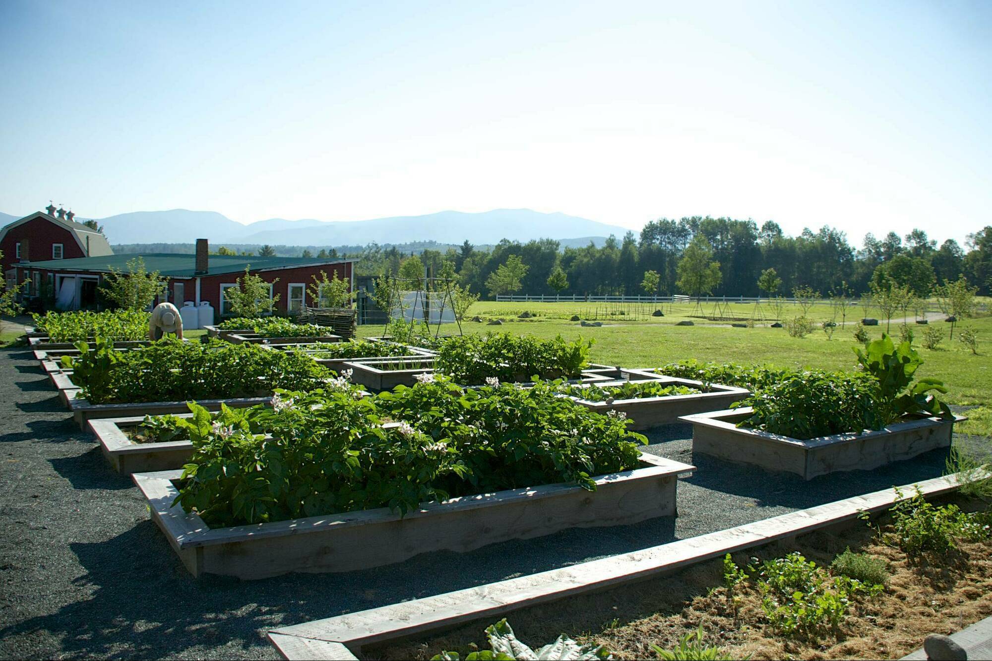 Mountain View Grand Resort & Spa Whitefield Εξωτερικό φωτογραφία